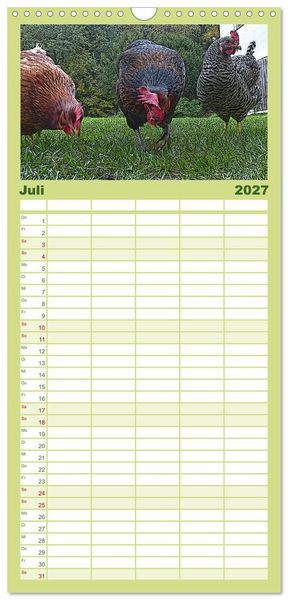 Produktbild: Familienplaner 2027 - Die H&uuml;hner sind los! mit 5 Spalten (Wandkalender, 21 x 45 cm) CALVENDO