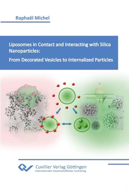 Produktbild: Liposomes in Contact and Interacting with Silica Nanoparticles: From Decorated Vesicles to Internalized Particles