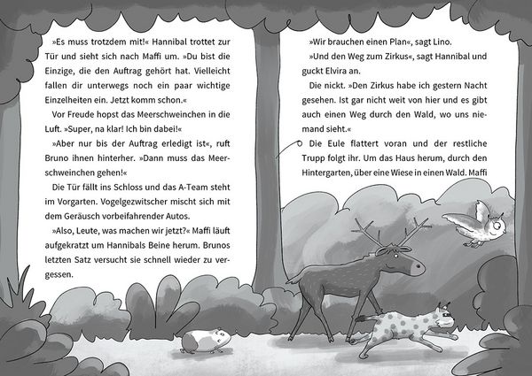 Produktbild: Das Wilde Haus der Tiere &ndash; Das Drama-Lama