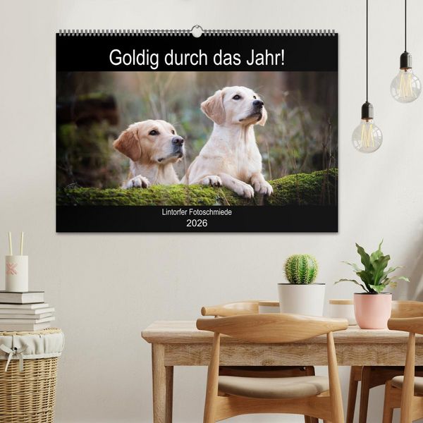 Produktbild: Goldig durch das Jahr! (Wandkalender 2026 DIN A2 quer), CALVENDO Monatskalender