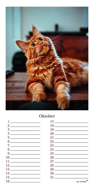 Produktbild: Geburtstagskalender Katzen