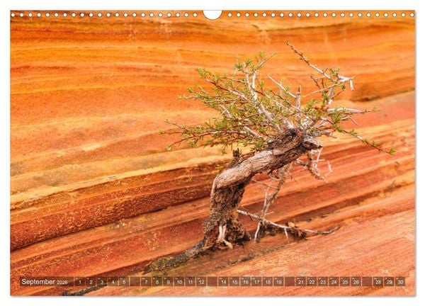 Produktbild: USA Traumziel S&uuml;dwest (Wandkalender 2026 DIN A3 quer), CALVENDO Monatskalender