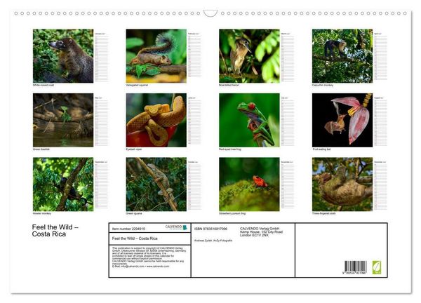 Produktbild: Feel the Wild &ndash; Costa Rica (Wall Calendar 2027 DIN A2 landscape), CALVENDO 12 Month Wall Calendar