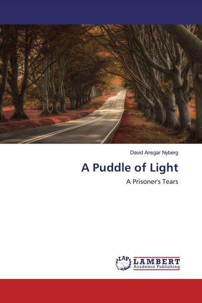 Produktbild: A Puddle of Light