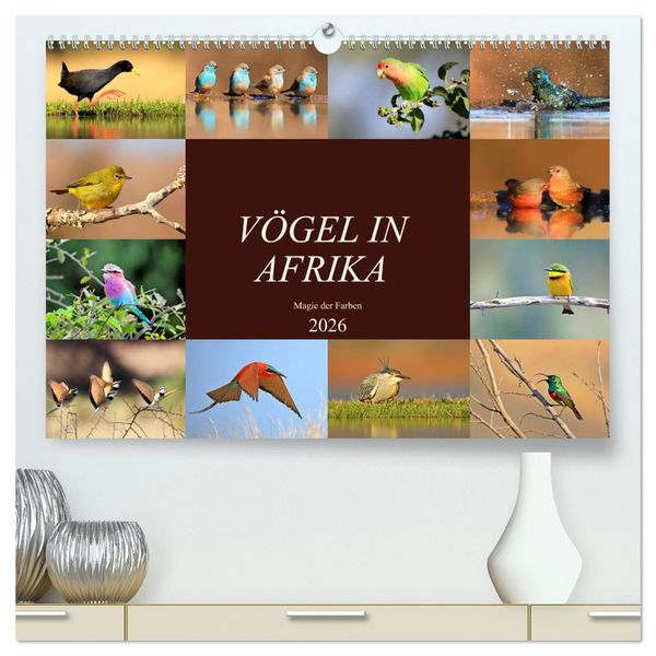 Vögel in Afrika - Magie der Farben (hochwertiger Premium Wandkalender 2026 DIN A2 quer), Kunstdruck in Hochglanz