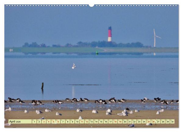 Produktbild: Sonne, Sand und Meer. Farben der K&uuml;ste (hochwertiger Premium Wandkalender 2026 DIN A2 quer), Kunstdruck in Hochglanz