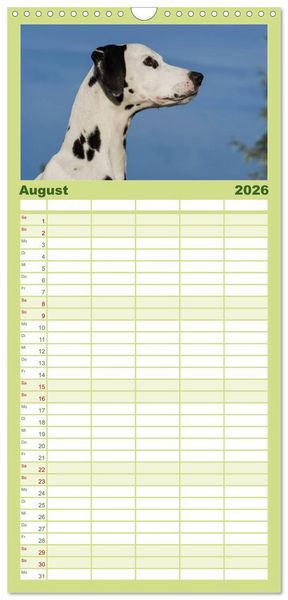 Produktbild: Familienplaner 2026 - Auf den Punkt - Dalmatiner mit 5 Spalten (Wandkalender, 21 x 45 cm) CALVENDO