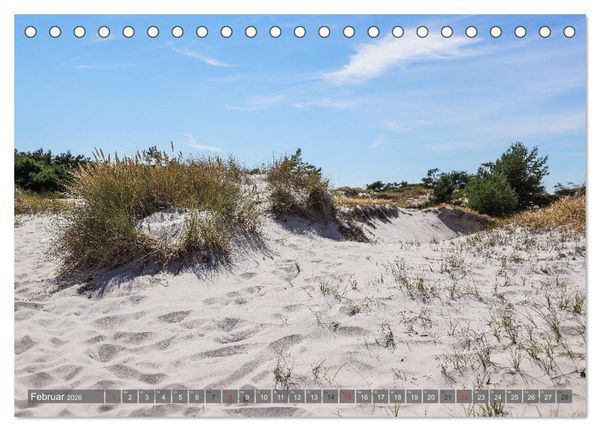 Produktbild: Fischland Dar&szlig; Zingst - wie gemalt (Tischkalender 2026 DIN A5 quer), CALVENDO Monatskalender