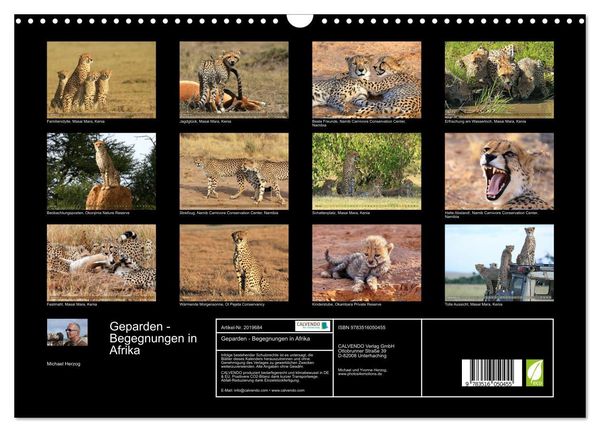 Produktbild: Geparden - Begegnungen in Afrika (Wandkalender 2026 DIN A3 quer), CALVENDO Monatskalender