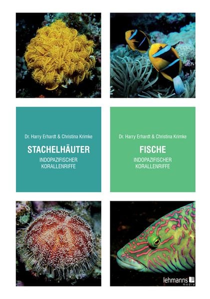Produktbild: Steinkorallen/Niedere Tiere/Weichtiere/Schwämme/Stachelhäuter/Fische indopazifischer Korallenriffe