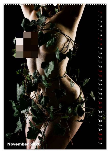 Produktbild: Fesselnde Sch&ouml;nheit (Wandkalender 2026 DIN A2 hoch), CALVENDO Monatskalender