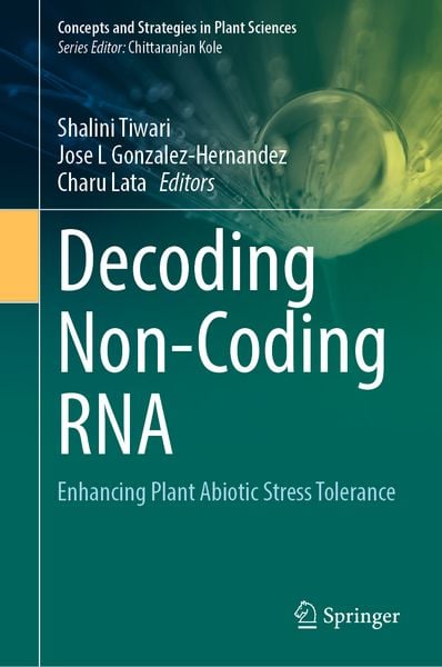 Produktbild: Decoding Non-Coding RNA