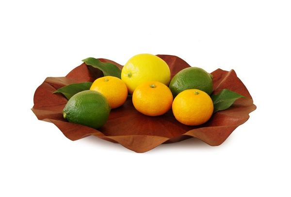 Produktbild: Flexible Hanji-Papierschale Lotusblatt (M) Braun &ndash; Ablage / Servierschale aus koreanischem Hanji-Papier