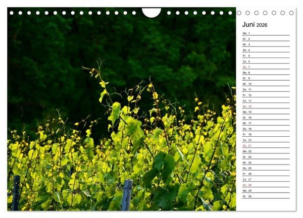 Produktbild: Landschaften des Kraichgaus (Wandkalender 2026 DIN A4 quer), CALVENDO Monatskalender