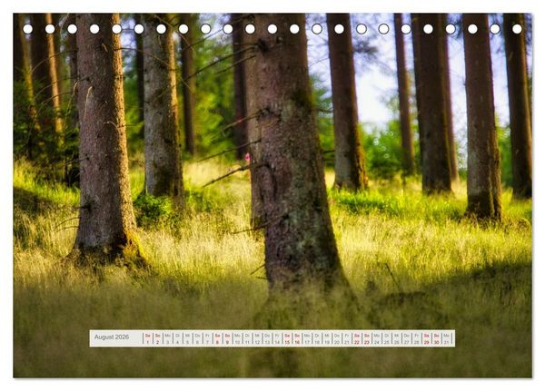 Produktbild: Traumhafte Waldstimmung am Rennsteig im Th&uuml;ringer Wald (Tischkalender 2026 DIN A5 quer), CALVENDO Monatskalender