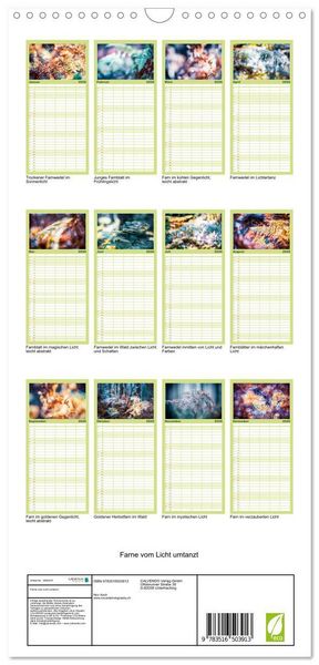 Produktbild: Familienplaner 2026 - Farne vom Licht umtanzt mit 5 Spalten (Wandkalender, 21 x 45 cm) CALVENDO