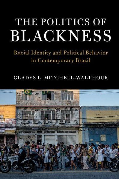 Produktbild: The Politics of Blackness
