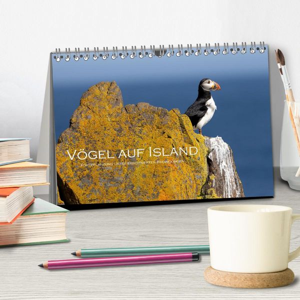 Produktbild: V&ouml;gel auf Island (Tischkalender 2026 DIN A5 quer), CALVENDO Monatskalender