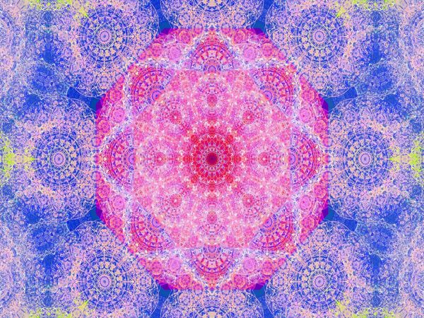 Produktbild: CALVENDO Puzzle Orientalische Orchidee | 1000 Teile Lege-Gr&ouml;&szlig;e 64x48cm Foto-Puzzle f&uuml;r gl&uuml;ckliche Stunden
