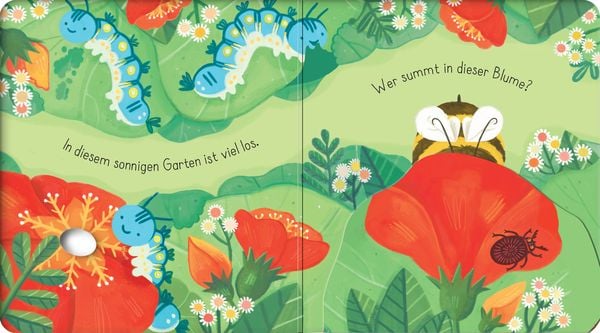 Produktbild: Mein erstes Entdecker-Klappenbuch: Kleine Biene im Garten