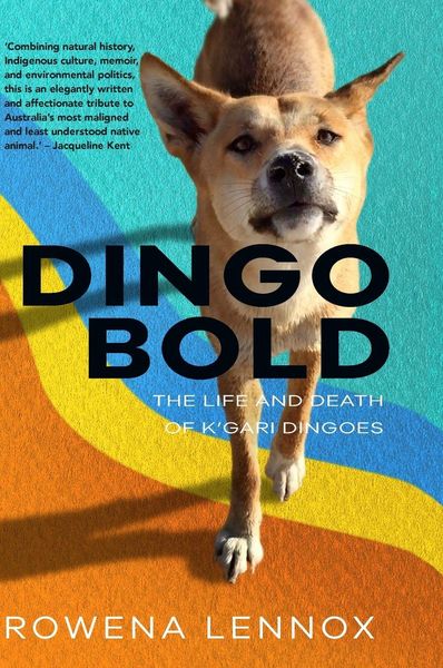 Produktbild: Dingo Bold