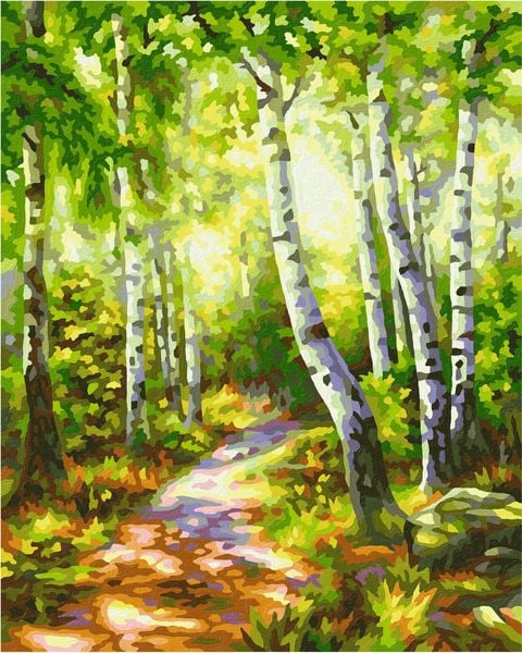 Schipper Malen nach Zahlen - Birkenwäldchen