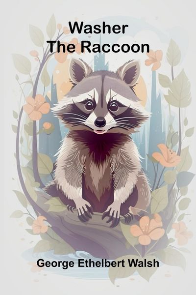 Produktbild: Washer The Raccoon