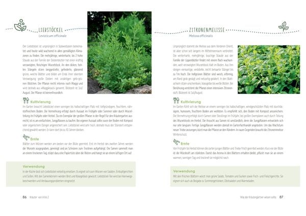 Produktbild: Kr&auml;uterg&auml;rten anlegen und pflegen. Biologisch g&auml;rtnern und genie&szlig;en