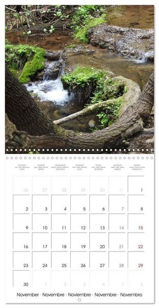 Produktbild: Habitat Forest (Wall Calendar 2026 12 &times; 12 Inch) CALVENDO 12 Month Wall Calendar