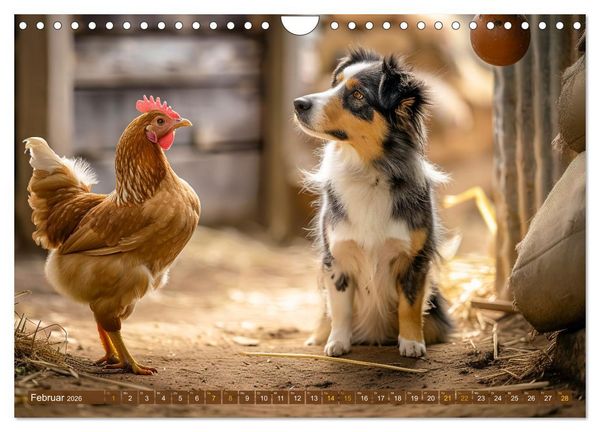 Produktbild: Bauernhof-Freunde - Hunde und ihre tierischen Freundschaften (Wandkalender 2026 DIN A4 quer), CALVENDO Monatskalender