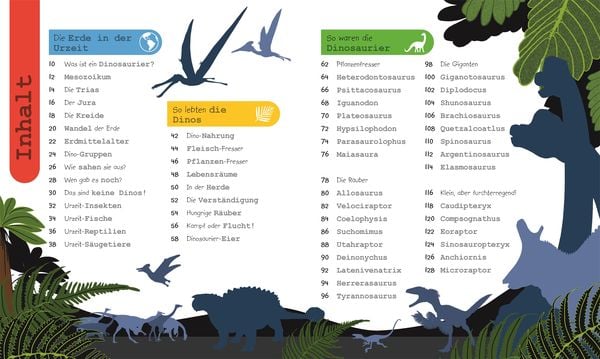 Wissen für Vorschulkids. Was weißt du über Dinos?