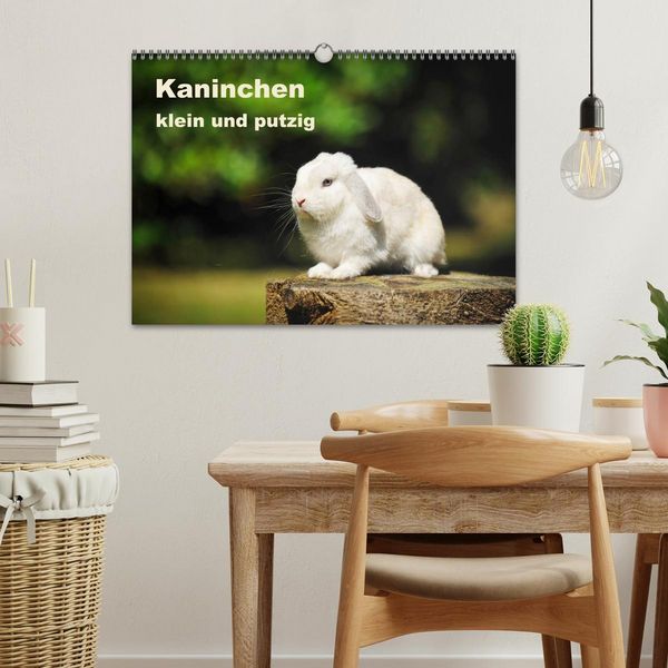 Produktbild: Kaninchen klein und putzig (Wandkalender 2026 DIN A3 quer), CALVENDO Monatskalender