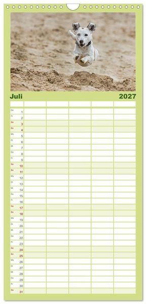 Produktbild: Familienplaner 2027 - Hunde Action mit 5 Spalten (Wandkalender, 21 x 45 cm) CALVENDO