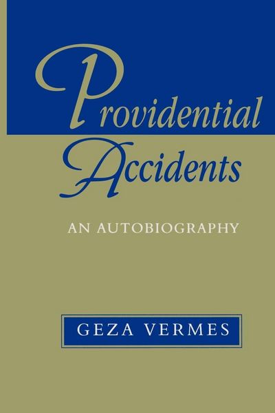 Produktbild: Providential Accidents