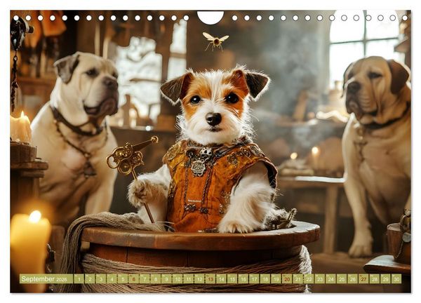 Produktbild: Pfoten Magie (Wandkalender 2026 DIN A4 quer), CALVENDO Monatskalender