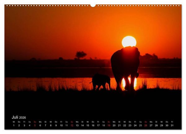 Produktbild: Elefanten - Die sanften Riesen Afrikas (Wandkalender 2026 DIN A2 quer), CALVENDO Monatskalender