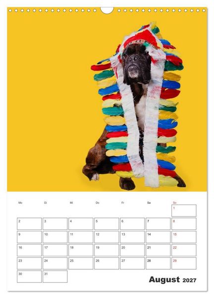 Produktbild: colorful world of boxer 2027 (Wandkalender 2027 DIN A3 hoch), CALVENDO Monatskalender