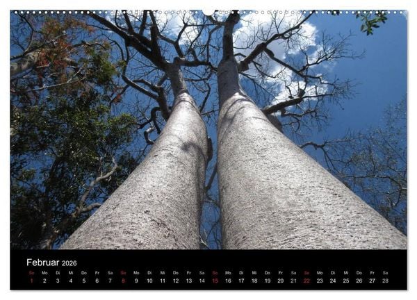 Produktbild: Abenteuer Madagaskar (hochwertiger Premium Wandkalender 2026 DIN A2 quer), Kunstdruck in Hochglanz