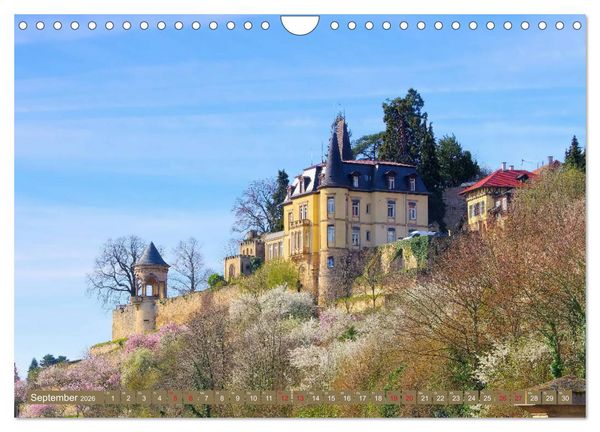 Produktbild: Mandelbl&uuml;tenzauber an der Deutschen Weinstra&szlig;e (Wandkalender 2026 DIN A4 quer), CALVENDO Monatskalender