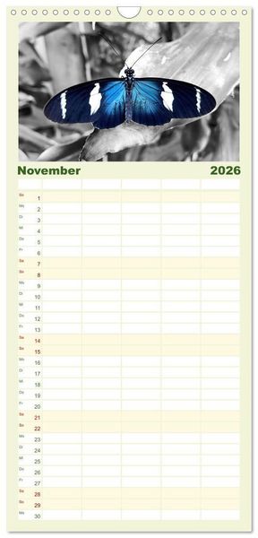Produktbild: Familienplaner 2026 - Gefl&uuml;gelte Sch&ouml;nheiten der Tropen mit 5 Spalten (Wandkalender, 21 x 45 cm) CALVENDO