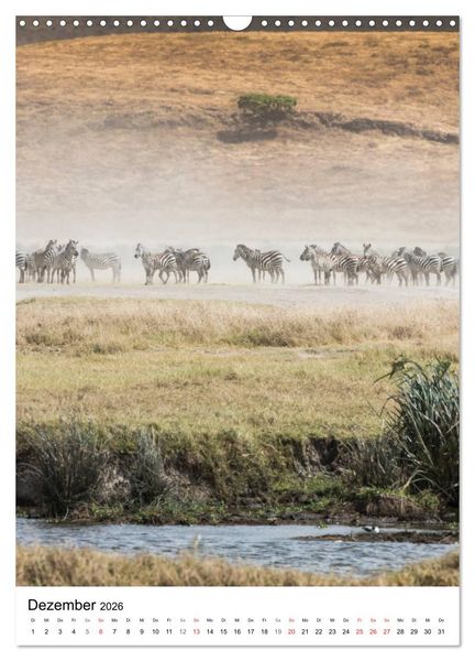 Produktbild: Serengeti Pur - Tansania (Wandkalender 2026 DIN A3 hoch), CALVENDO Monatskalender