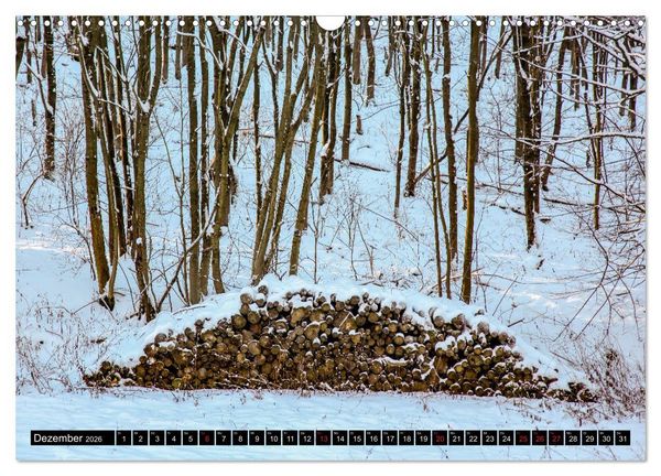 Produktbild: Arnsberger Wald (Wandkalender 2026 DIN A3 quer), CALVENDO Monatskalender