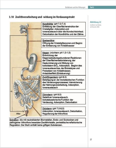 Produktbild: Biofaktoren f&uuml;r gesundes Altern