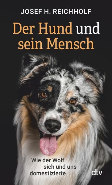 Produktbild: Der Hund und sein Mensch