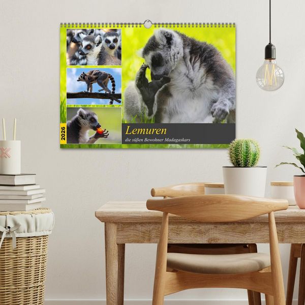 Produktbild: Lemuren die s&uuml;&szlig;en Bewohner Madagaskars (Wandkalender 2026 DIN A3 quer), CALVENDO Monatskalender
