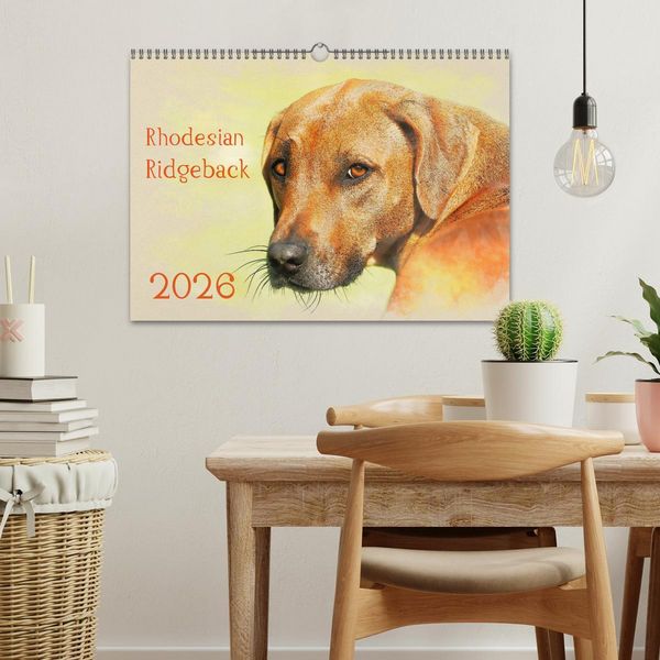 Produktbild: Rhodesian Ridgeback 2026 (Wandkalender 2026 DIN A3 quer), CALVENDO Monatskalender