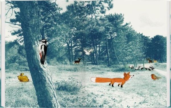 Produktbild: Der kleine Fuchs