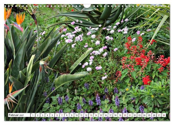Produktbild: Bl&uuml;tenzauber auf Madeira. Wildblumen und Ziergew&auml;chse (Wandkalender 2027 DIN A3 quer), CALVENDO Monatskalender