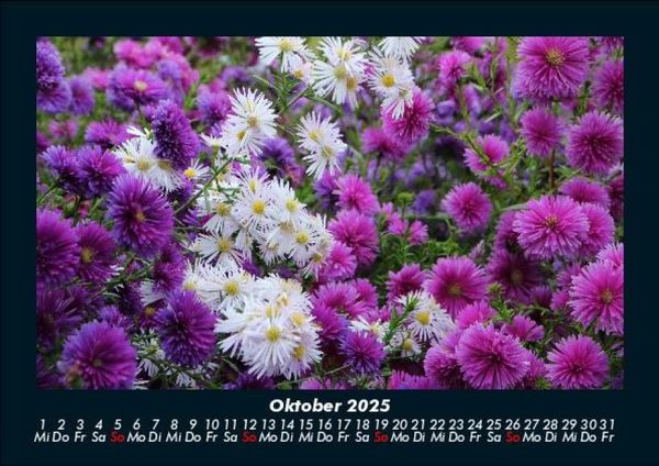 Produktbild: Blumenkalender 2025 Fotokalender DIN A5