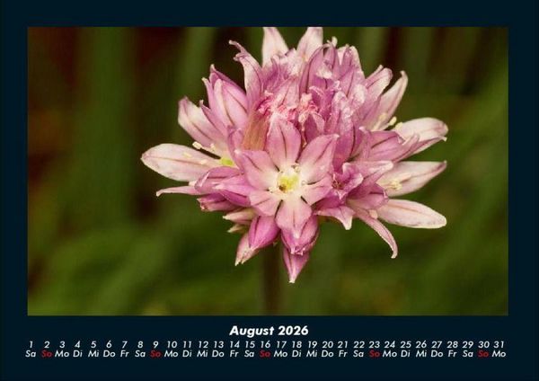 Produktbild: Blumenkalender 2026 Fotokalender DIN A4